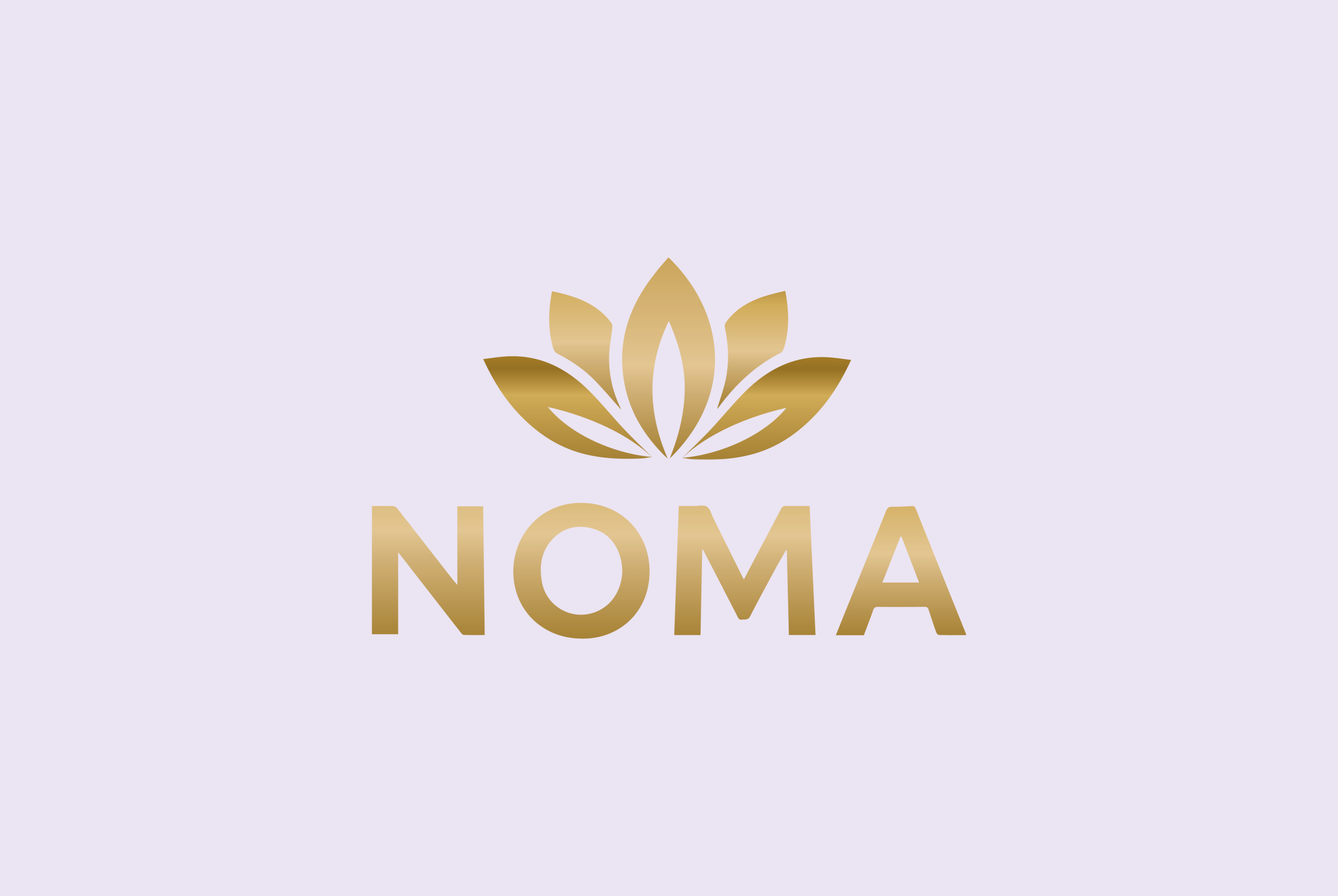 slide noma-07
